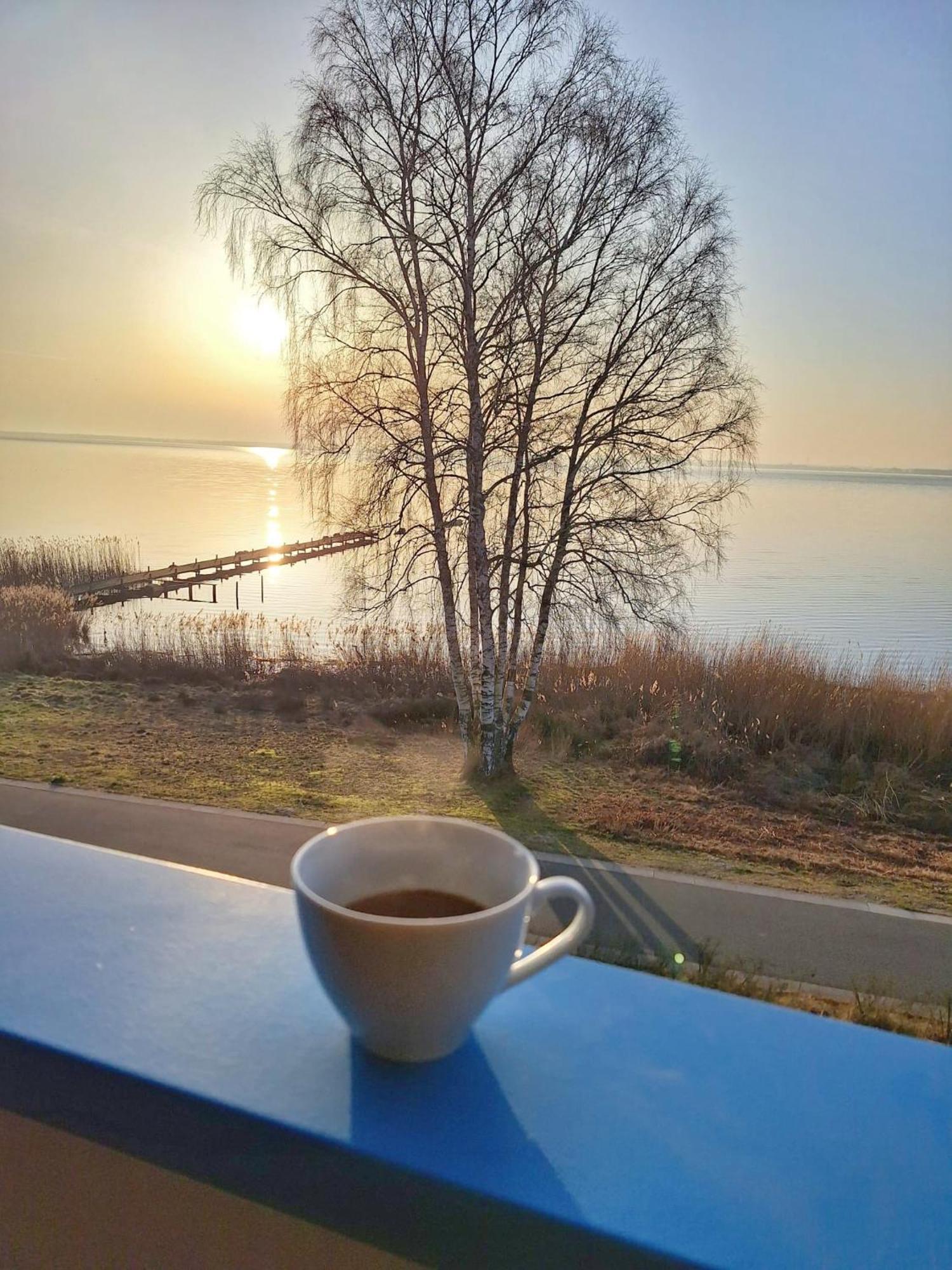 Ferienwohnung Sunrise - Mit Direktem Blick Auf Das Steinhuder Meer - Mardorf  Eksteriør bilde